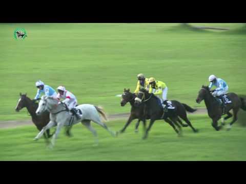 BA 9.4. Dostihy 8 - 44. Jarná cena Petržalky