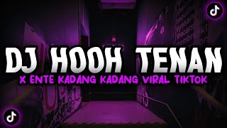 Download lagu DJ HOOH TENAN X ENTE KADANG KADANG DJ FYP TIKTOK VIRAL 2022 HOOH TENAN X ENTE KADANG KADANG mp3