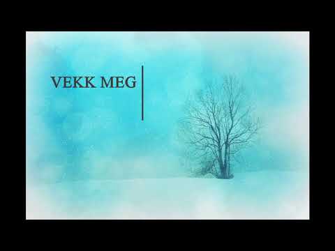 VekkMeg - VekkMegNårAltErOver