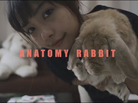 ANATOMY RABBIT - แอบหวัง [ OFFICIAL MV ]
