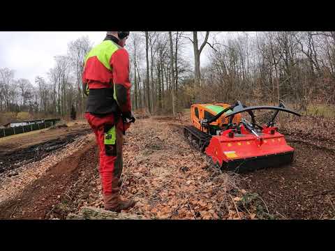 MDB LV 500 mit Dragone-Mulcher - Vorbereitung für eine Obstwiese - B&B Baumfäll-Team Uelzen