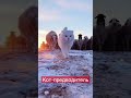Кот-главарь #вирусноевидео #кот #бараны #стадо Видос от Ярослава Федосеева