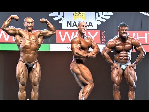 NABBA Worlds 2013 - Men 3