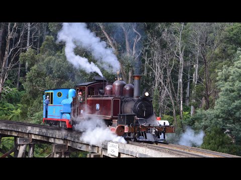 7A & Thomas Light Engine to Gembrook