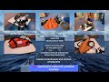 FFA Equipment Complete Learning Package Testing Training PMS Checks Thetraveloholicsailor