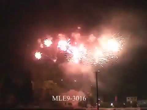 MLE9  3016   49 Shot 30mm FAN   Yellow Dahlia Green Strobe 265181127