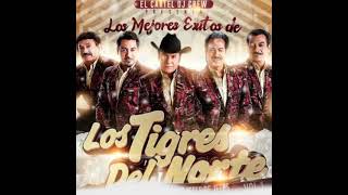 Historia De Amor - Los Tigres Del Norte (sergius tjbcmx)