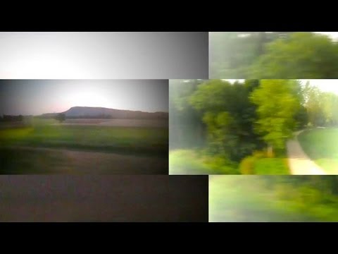 Laurent Chambert - When the cat is away the mice will play