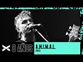 A.N.I.M.A.L. - Loco Pro en vivo en el TEATRO VORTERIX 2015)