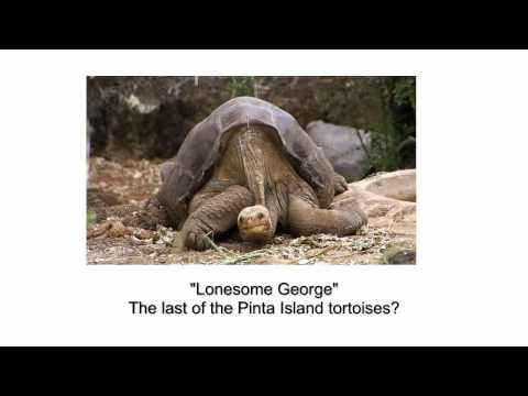 (2/3) The light of evolution: What would be lost