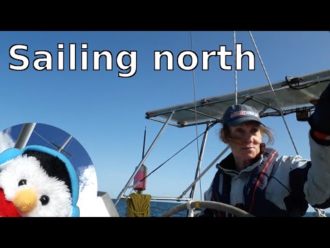 Sailing Northern Ireland - Carrick - Bangor - Larne - Ep. 154