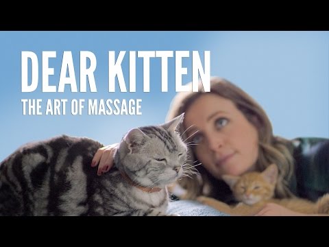 The Art Of Massage
