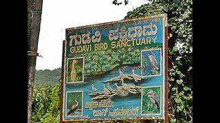 preview picture of video 'Gudavi Bird Sanctuary - Karnataka, sorab, karnataka'