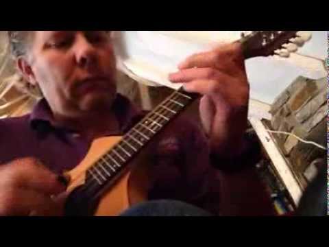 Breedlove mandolin High Level hornpipe by James Hill