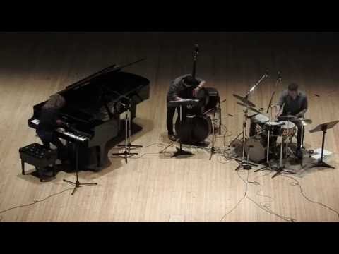 ANAT FORT TRIO. Anat Fort-piano. Gary Wang-double bass. Roland Schneider-drums.