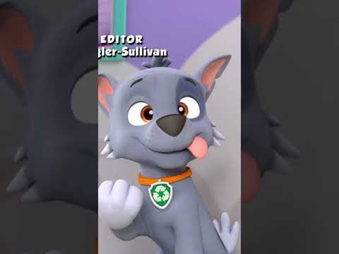 Derpy Rocky - Paw patrol