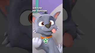 Download lagu Derpy Rocky - Paw patrol mp3