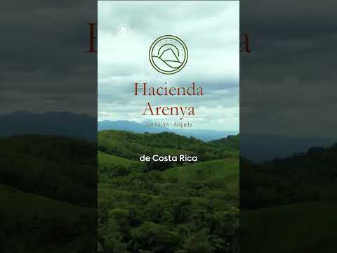Hacienda Arenya el nuevo proyecto de Terraquintas en San Carlos,Alajuela.