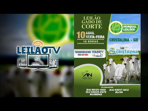 MUNDIAL LEILÕES A MÃO DE DEUS ESTA AQUI - CRISTALINA GO - 10/04/2026