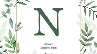 Cover art for N