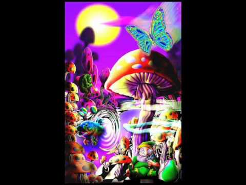 Slackbaba - Long Sunny Daze