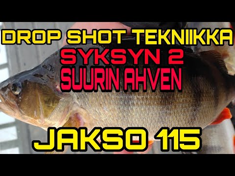 Pottukoira kalastaa jakso 115- syksyn toiseksi suurin ahven-drop shot tekniikka