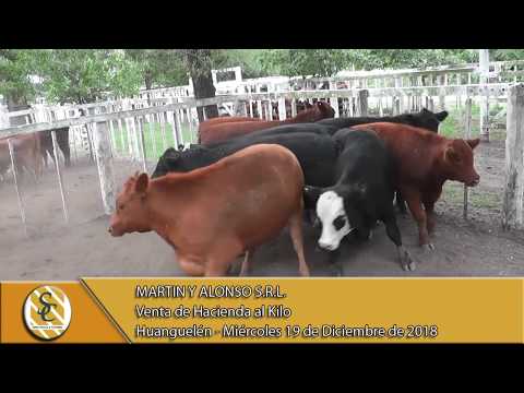 19-12-18 Venta de Gordo - Martin y Alonso S.R.L. - Huanguelén