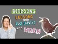 How to Identify Wren Song - Episode 3 of Birdsong Lessons with Lucy Lapwing!