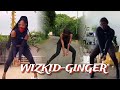 Wizkid Ginger Ft Burna Boy Dance Challenge Compilation Ginger Ft Wizkid Burna Boy