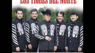 LOS TIGRES DEL NORTE (Mi Fantasia).