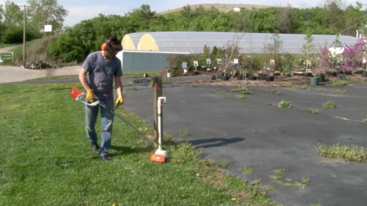 STIHL FSA 65 Battery Powered Trimmer Demonstration