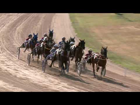 2021.07.03. 08. futam - PANNÓNIA DÍJ