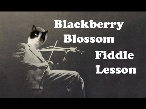 Blackberry Blossom - Basic Fiddle Lesson