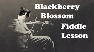 Blackberry Blossom - Basic Fiddle Lesson