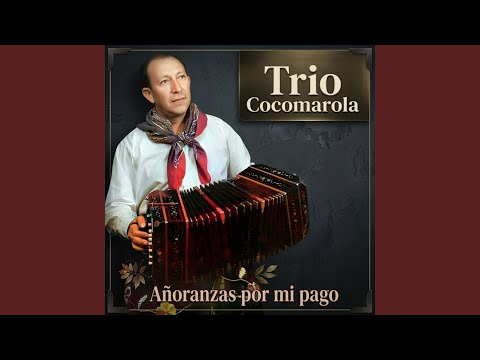 Sin Pensar - Trío Cocomarola