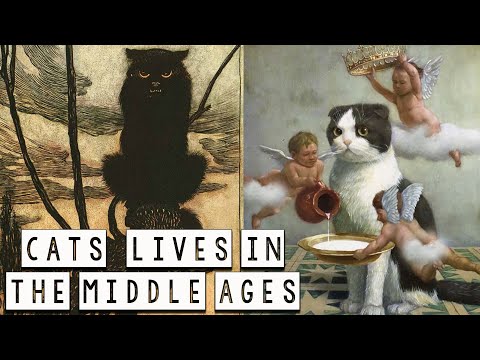 Cats and their difficult lives in the Middle Ages - Medieval History - See U in History