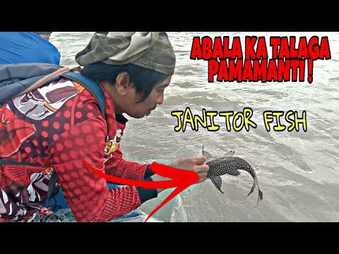 PAMAMANTI SA LAWA NG LAGUNA LAKE ! /  NET FISHING /TALIM PH FISHING VLOG