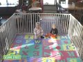 Sesame Street Elmo S World 1018