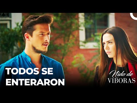 Ayşe Dice La Verdad  - Nido De Víboras Capitulo 16 (Dobladas en Español)