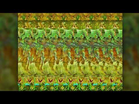 Stereograms for Eye Gymnastics / Magic Eye