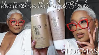HOW TO GET ✨ICY✨ PLATINUM HAIR IN ONE DAY! BLACK TO BLONDE HAIR! | VLOGMAS 2022 - DAY 12 | BetheBeat