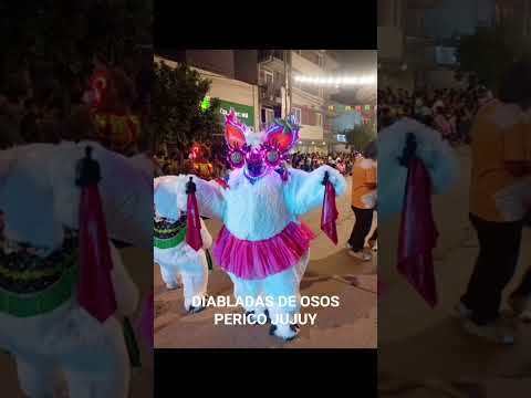 DIABLADAS DE OSOS PERICO JUJUY