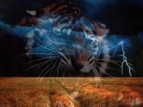 SiwyMix - 17 ( Siwy 17.12.2k10)