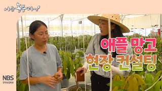 [나는농부다 263회] 진도군 농업기술센터의 애플망고 현장 컨설팅