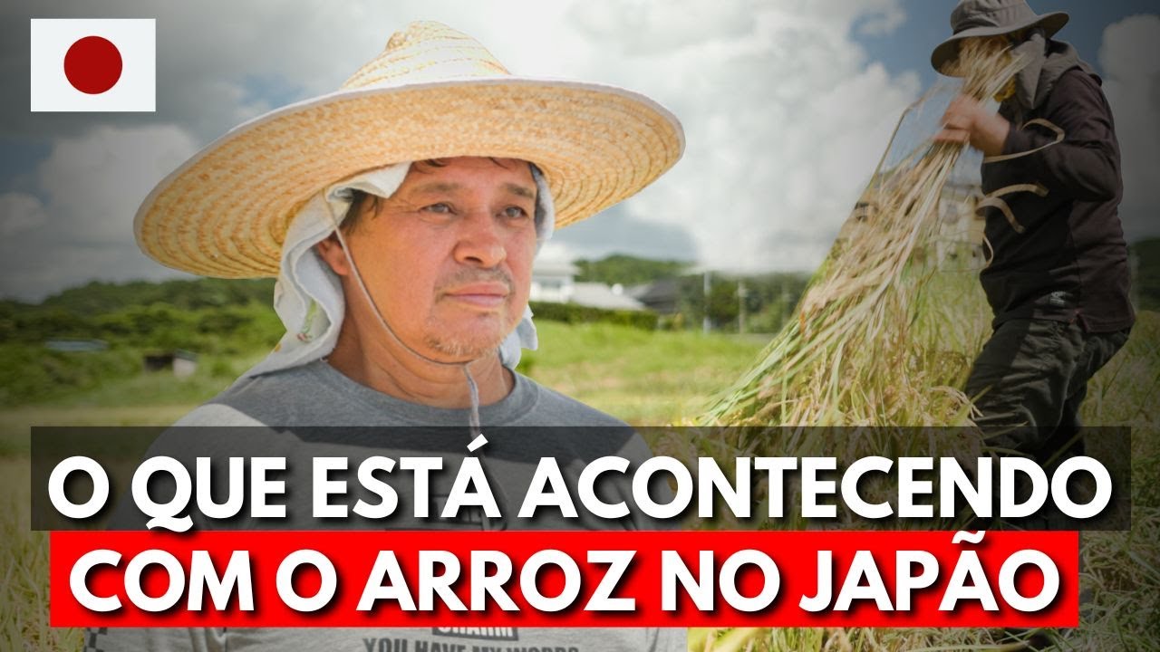 CRISE DO ARROZ NO JAPÃO - A Realidade do Produtor