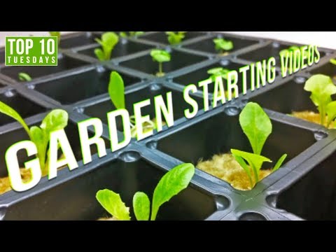 Top 10 Best Garden Starting Videos | Top 10 Tuesdays Video