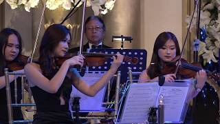 Download lagu Where Do I Begin - Love Story by Stradivari Orchestra | cover version mp3