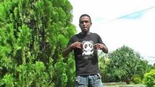 Download lagu BABO   NONA INANG mp3