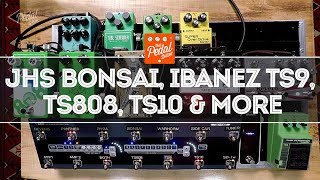 Tube Screamers: TS808, TS9 &amp; TS10, JHS Bonsai, Walrus, RYRA &amp; Hudson – That Pedal Show