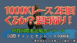2026年度「伊賀国際チャンピオン1000K」ライブ配信2日目！